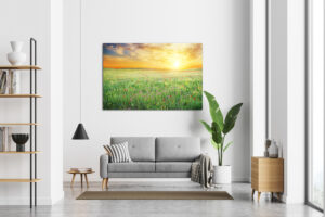 Kolorowa łąka na obrazach w twoim domu