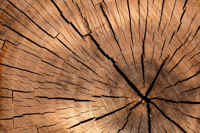 Ile drewna na tonę węgla?